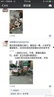 今日郑州最新爆料,揭秘城市热点事件背后的真相 第3张 今日郑州最新爆料,揭秘城市热点事件背后的真相 第3张